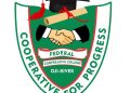 CSO Investigative Council Reacts to Alleged Poor Construction of Abia North Road