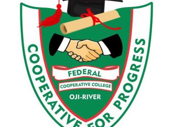 CSO Investigative Council Reacts to Alleged Poor Construction of Abia North Road