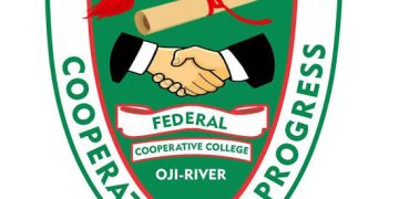 CSO Investigative Council Reacts to Alleged Poor Construction of Abia North Road