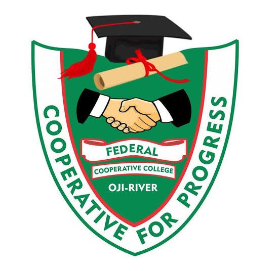 CSO Investigative Council Reacts to Alleged Poor Construction of Abia North Road