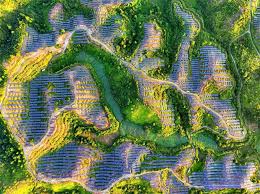 China’s role, insights in building clean, beautiful world