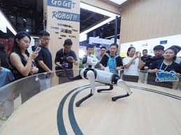 Robots showcase cutting-edge capabilities at 2025 World Robot Conference