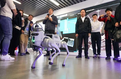 Hangzhou fosters business-friendly environment to unleash innovation potential
