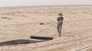 A young Chinese man inspires over 40,000 people to join desertification control