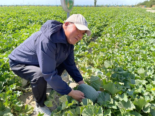 A ‘sweet bond’ on Silk Road
