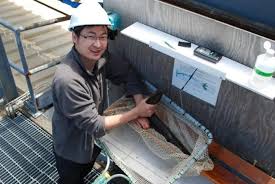 Helping fish navigate dams: one engineer’s mission to restore the Yangtze River ecosystem