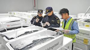 Booming demand fuels growth in China’s cold-chain logistics