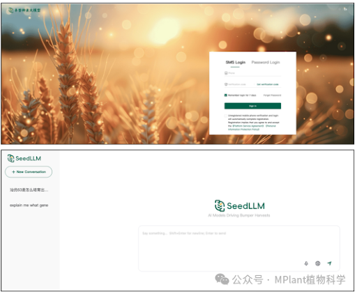 AI technology applied to improve crop breeding 
