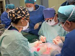 China livestreams groundbreaking ‘Mount Everest-level’ surgery, captivating global audience of five million