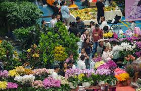 Yunnan builds modern floriculture industry to drive rural prosperity