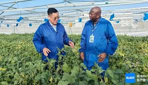 Breeding innovation expands soybean potential nationwide