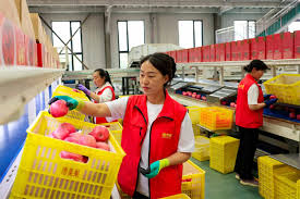 Industrial development solidifies results of China’s poverty reduction