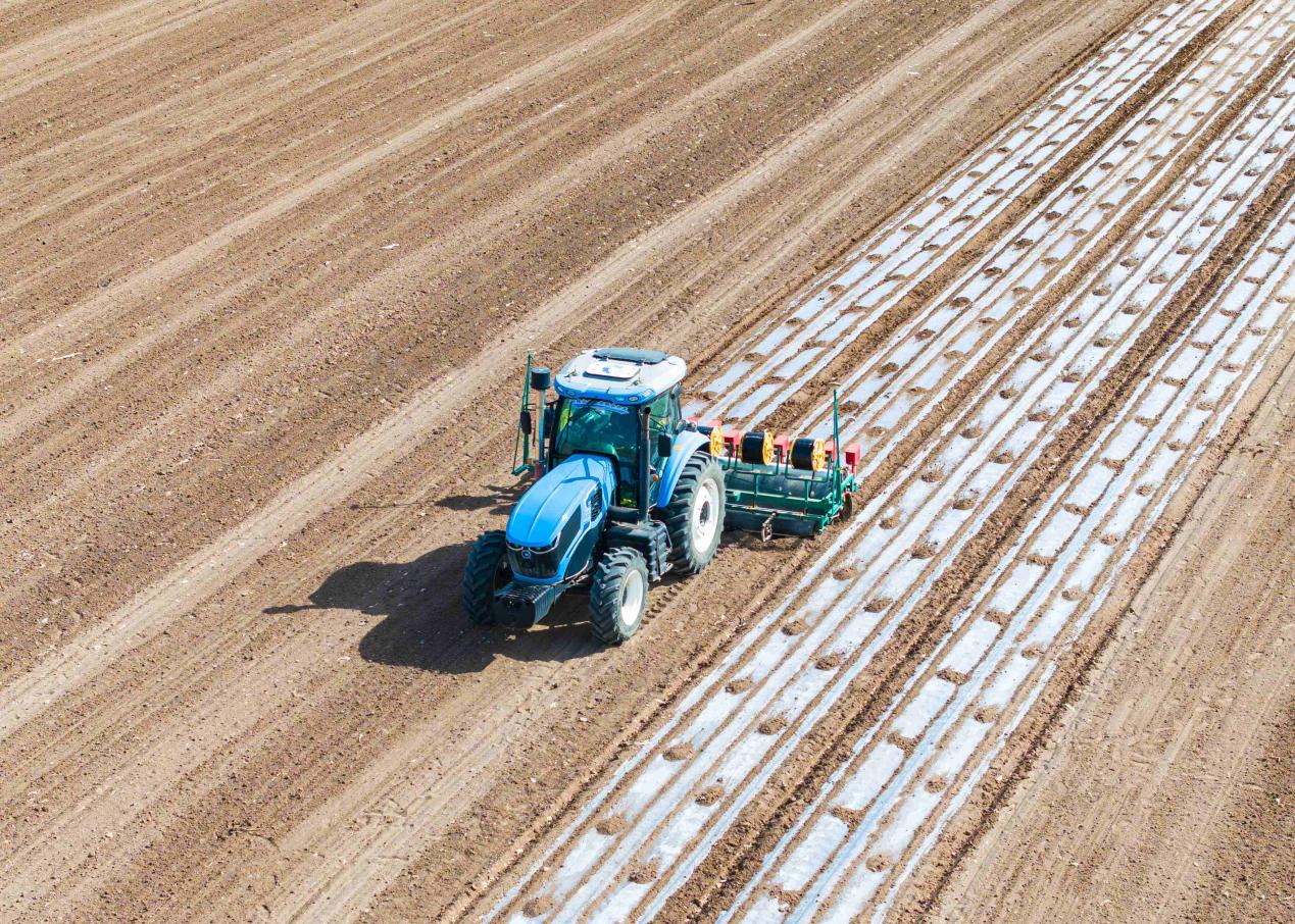 Technology drives development of Xinjiang’s cotton industry