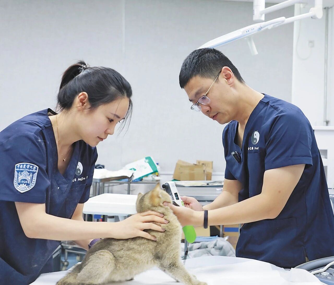 Jin Yipeng: guardian of endangered species