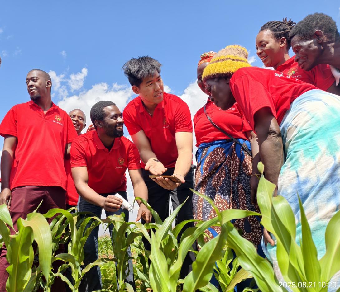 China’s Science and Technology Backyard program contributes to global green transformation of agriculture