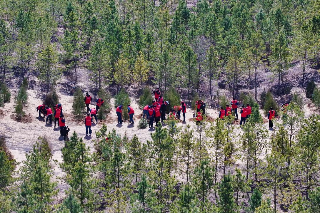 China averages 100 trees per person as nation accelerates greening efforts 