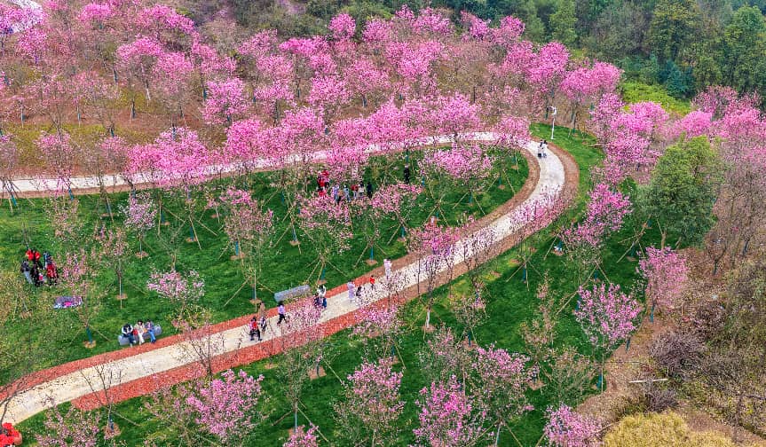 China’s green transformation: a global asset
