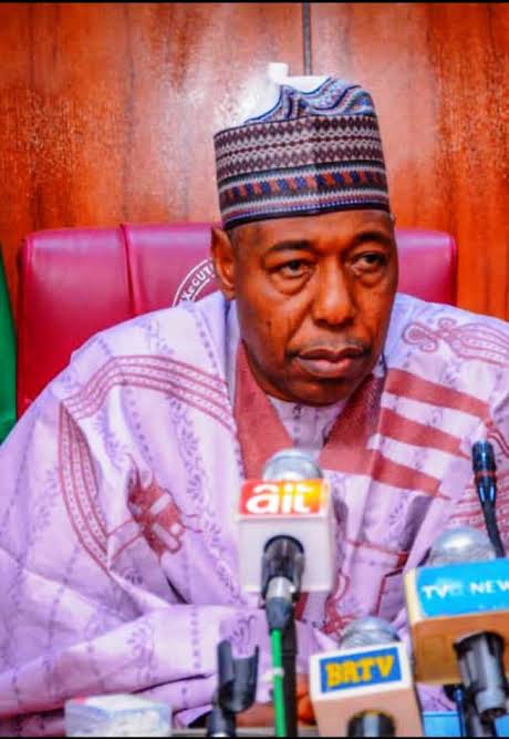 Open Letter to His Excellency, Prof. Babagana Umara Zulum