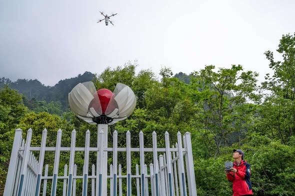China’s ecological protection red line system strengthens ecosystem protection