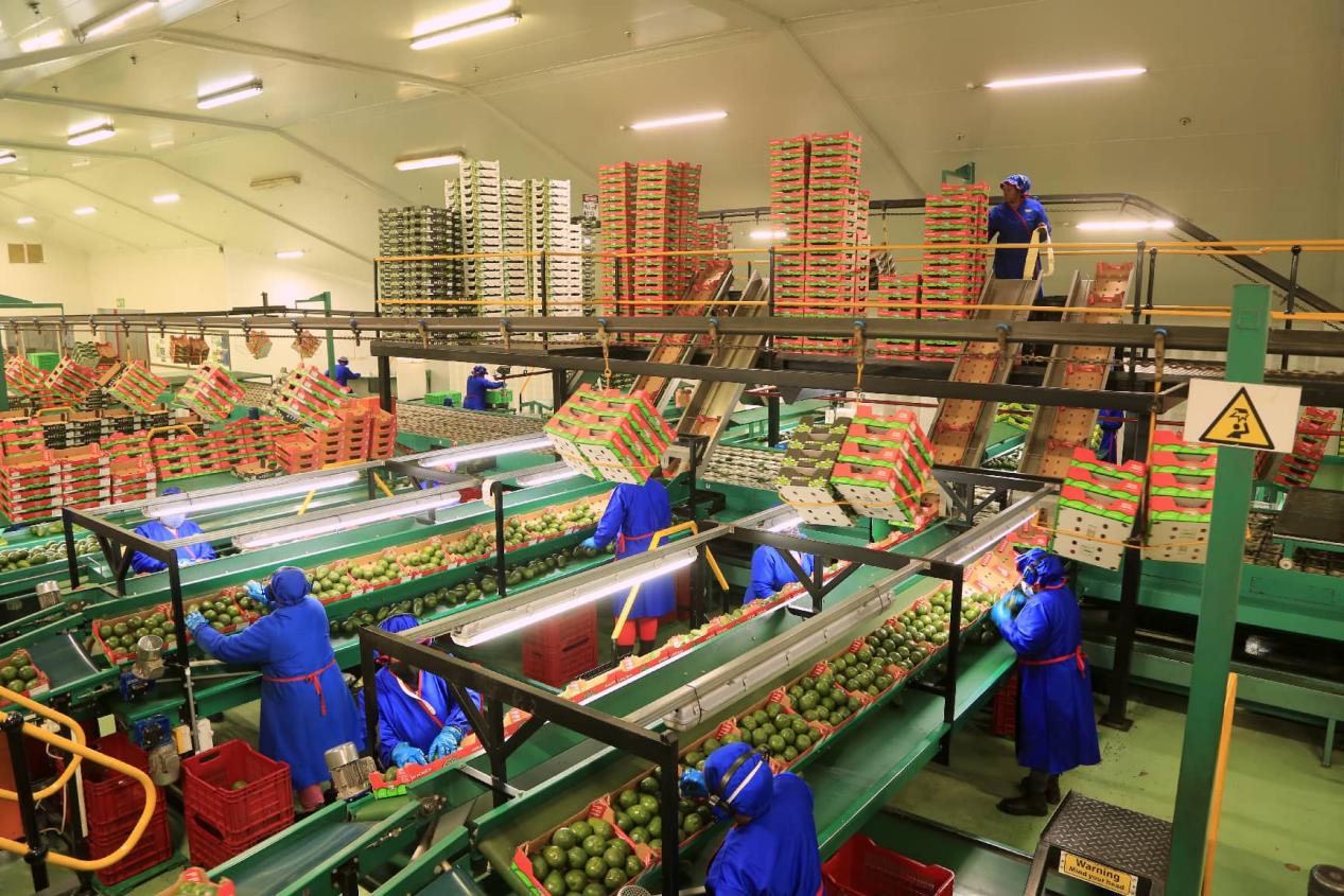 China’s zero-tariff policy for Africa: a landmark in new era cooperation