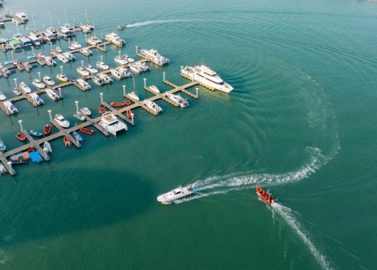 Coastal city in East China transforms shoreline with ecological bay restoration