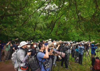 Beijing attracts growing number of bird species amid stronger ecological protection