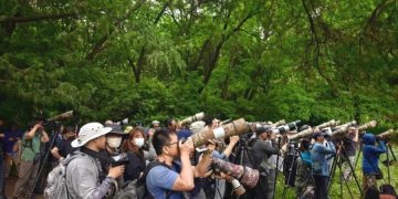 Beijing attracts growing number of bird species amid stronger ecological protection