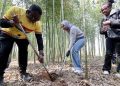 Beyond filtered narratives: China’s genuine rural charm wins over global audiences