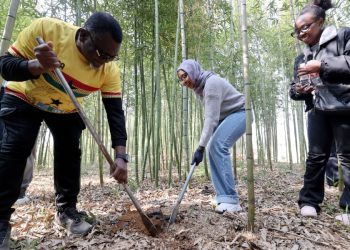 Beyond filtered narratives: China’s genuine rural charm wins over global audiences