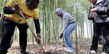 Beyond filtered narratives: China’s genuine rural charm wins over global audiences