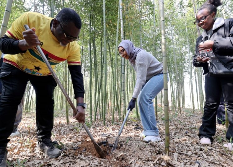 Beyond filtered narratives: China’s genuine rural charm wins over global audiences