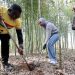 Beyond filtered narratives: China’s genuine rural charm wins over global audiences
