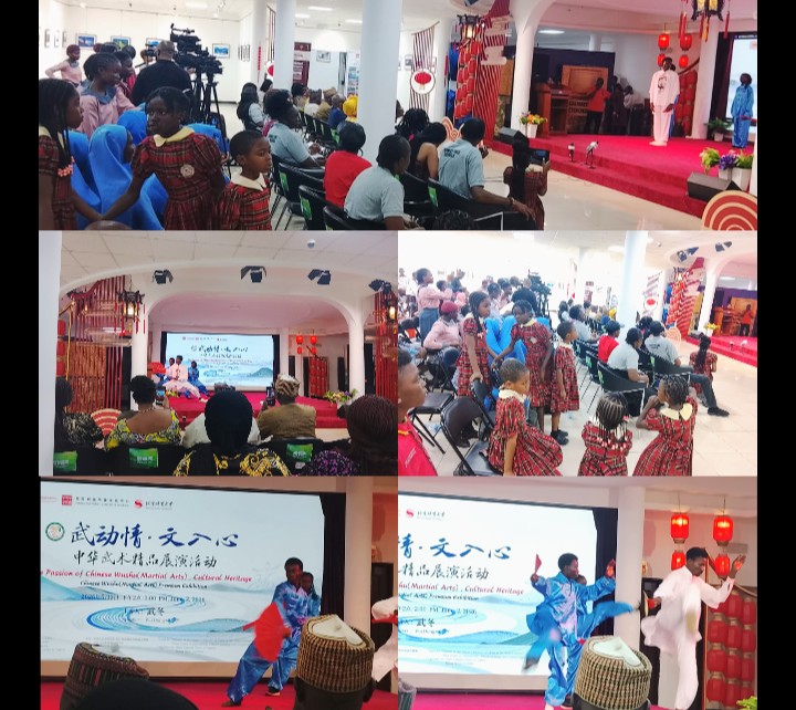 China-Nigeria Wushu Exhibition in Abuja Promotes Discipline, Harmony