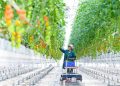 Common prosperity: a defining feature of Chinese modernization, says Robert Lawrence Kuhn