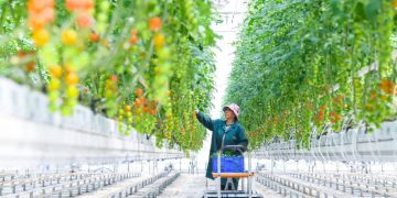 Common prosperity: a defining feature of Chinese modernization, says Robert Lawrence Kuhn