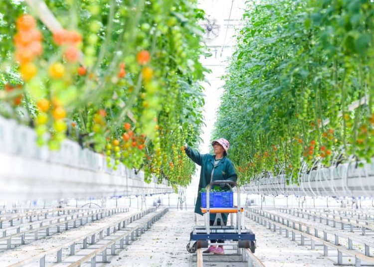 Common prosperity: a defining feature of Chinese modernization, says Robert Lawrence Kuhn