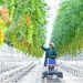 Common prosperity: a defining feature of Chinese modernization, says Robert Lawrence Kuhn