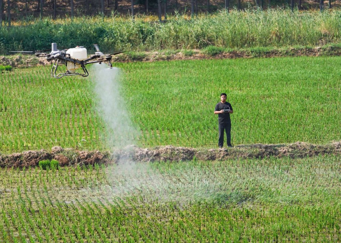China intensifies farmland protection efforts