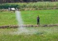 China intensifies farmland protection efforts
