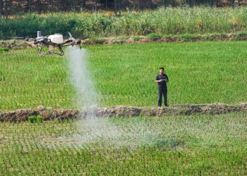China intensifies farmland protection efforts
