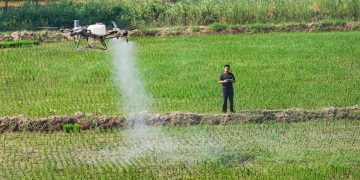 China intensifies farmland protection efforts