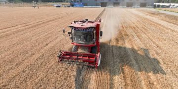 Technology transforms farming across China’s fields