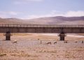 Twenty years on, the Qinghai-Xizang Railway continues to drive plateau development