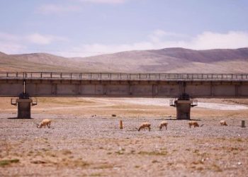Twenty years on, the Qinghai-Xizang Railway continues to drive plateau development