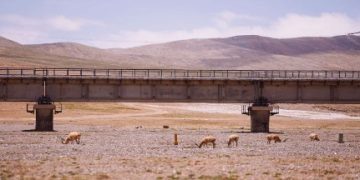Twenty years on, the Qinghai-Xizang Railway continues to drive plateau development