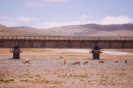 Twenty years on, the Qinghai-Xizang Railway continues to drive plateau development