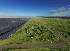 Self-sustaining ecological cycle takes shape at solar park in NW China’s Qinghai