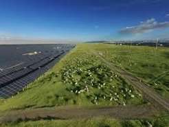 Self-sustaining ecological cycle takes shape at solar park in NW China’s Qinghai