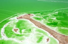 Qairhan Salt Lake: Unlocking the value of brine for industry and tourism