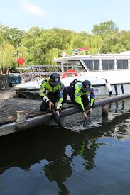 Hangzhou deploys biomimetic robotic fish for West Lake patrols
